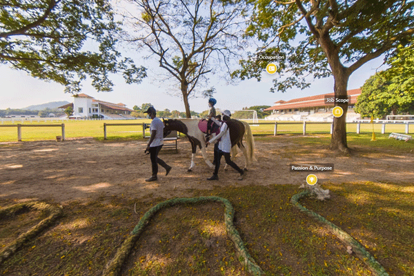 Occupational Therapist